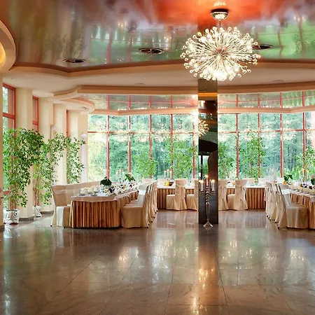 Amadeus Hotel Wodzisław Śląski